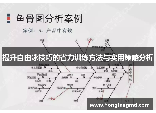 提升自由泳技巧的省力训练方法与实用策略分析