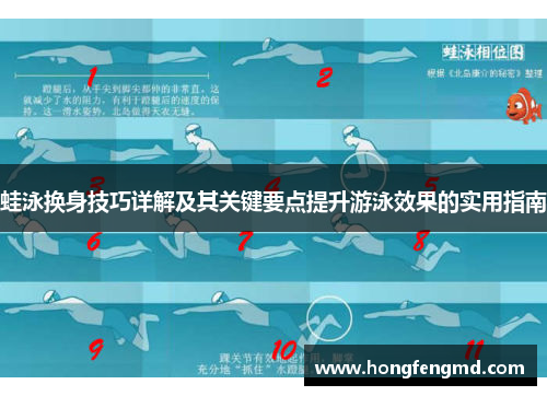 蛙泳换身技巧详解及其关键要点提升游泳效果的实用指南