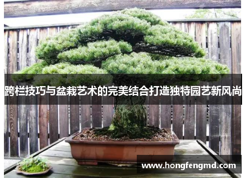 跨栏技巧与盆栽艺术的完美结合打造独特园艺新风尚