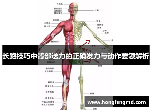 长跑技巧中髋部送力的正确发力与动作要领解析